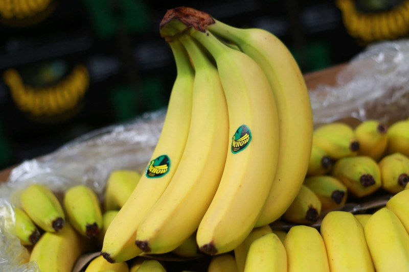 Eröffnung der Reifekammer in Timisoara. Unsere Bananen erobern die Welt!