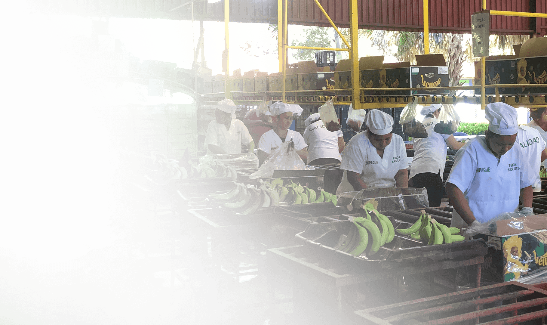 CITRONEX - Achtung der Menschenrechte = Voraussetzung für die Zusammenarbeit