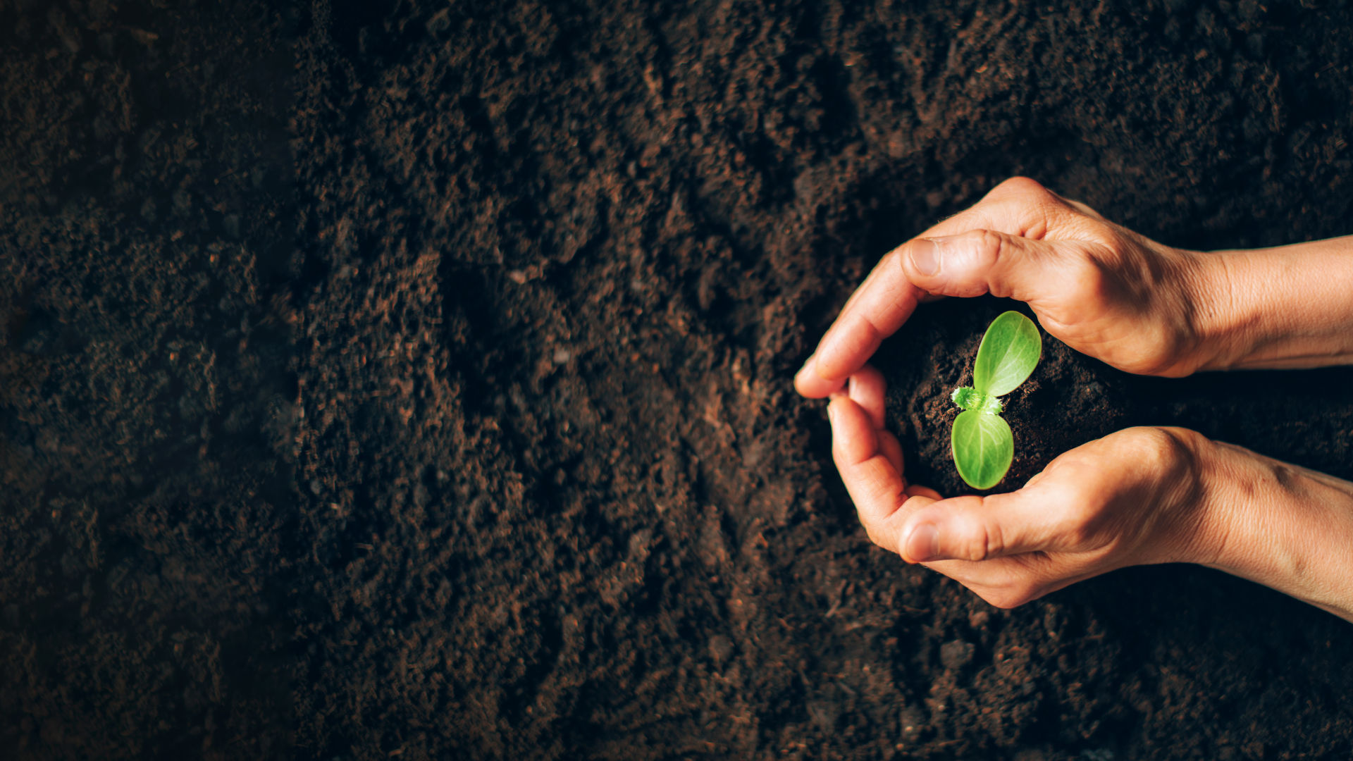 CITRONEX - Wir kümmern uns um die Umwelt