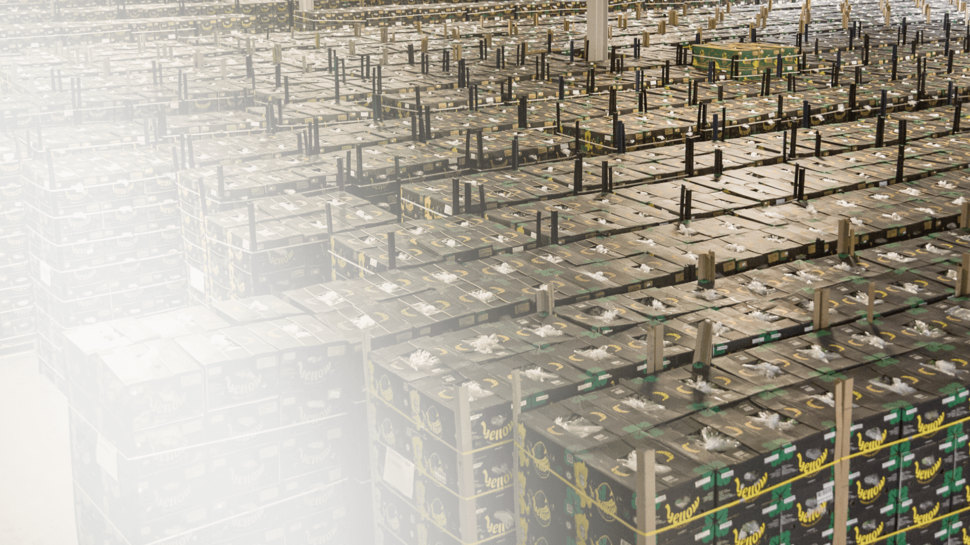 CITRONEX - Wir geben den Produkten ein zweites Leben