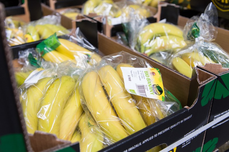 Otwarcie dojrzewalni w Timisoarze. Nasze banany zdobywają świat!