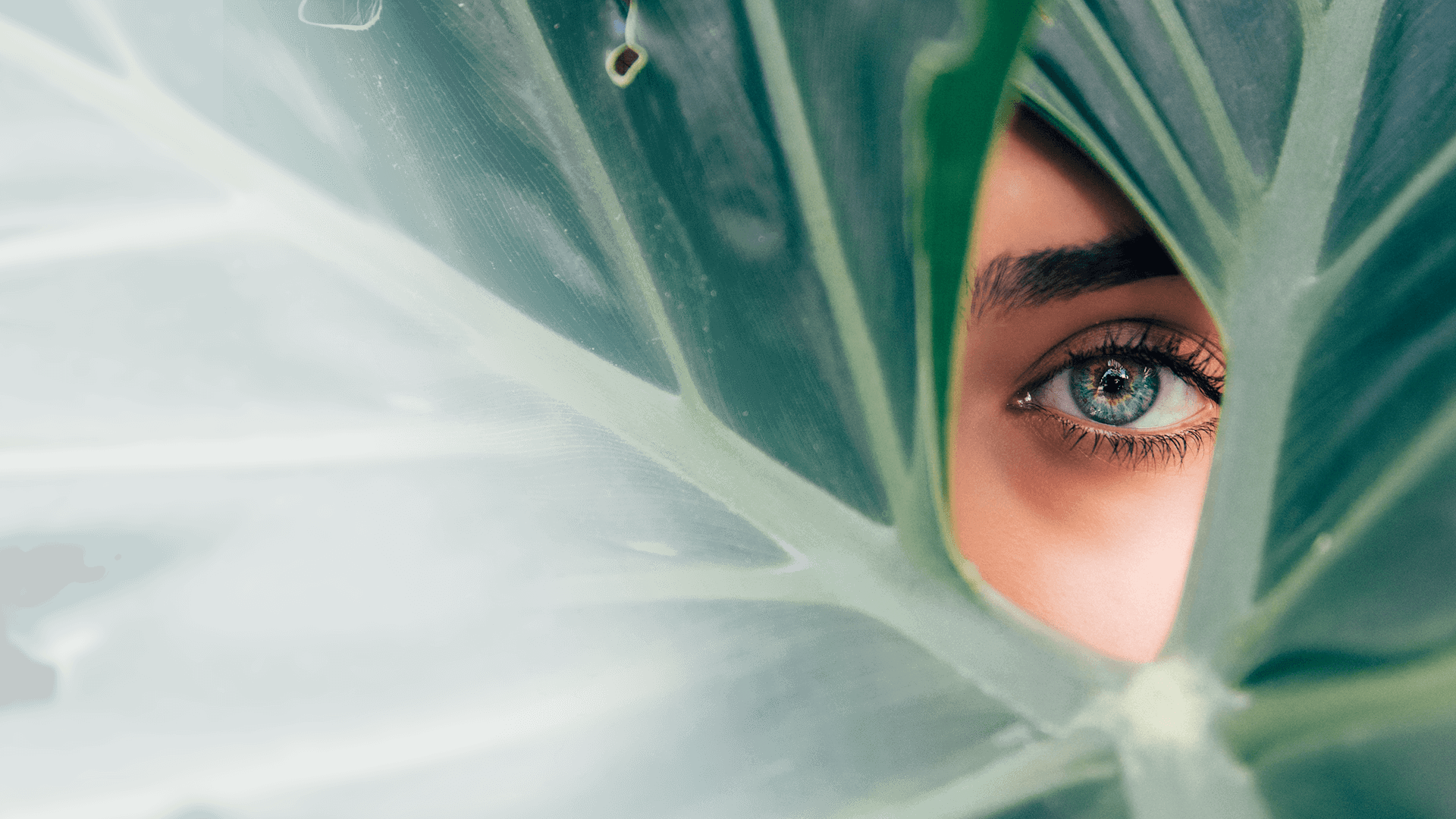 CITRONEX - Odpowiedzialność za wspólne dobro