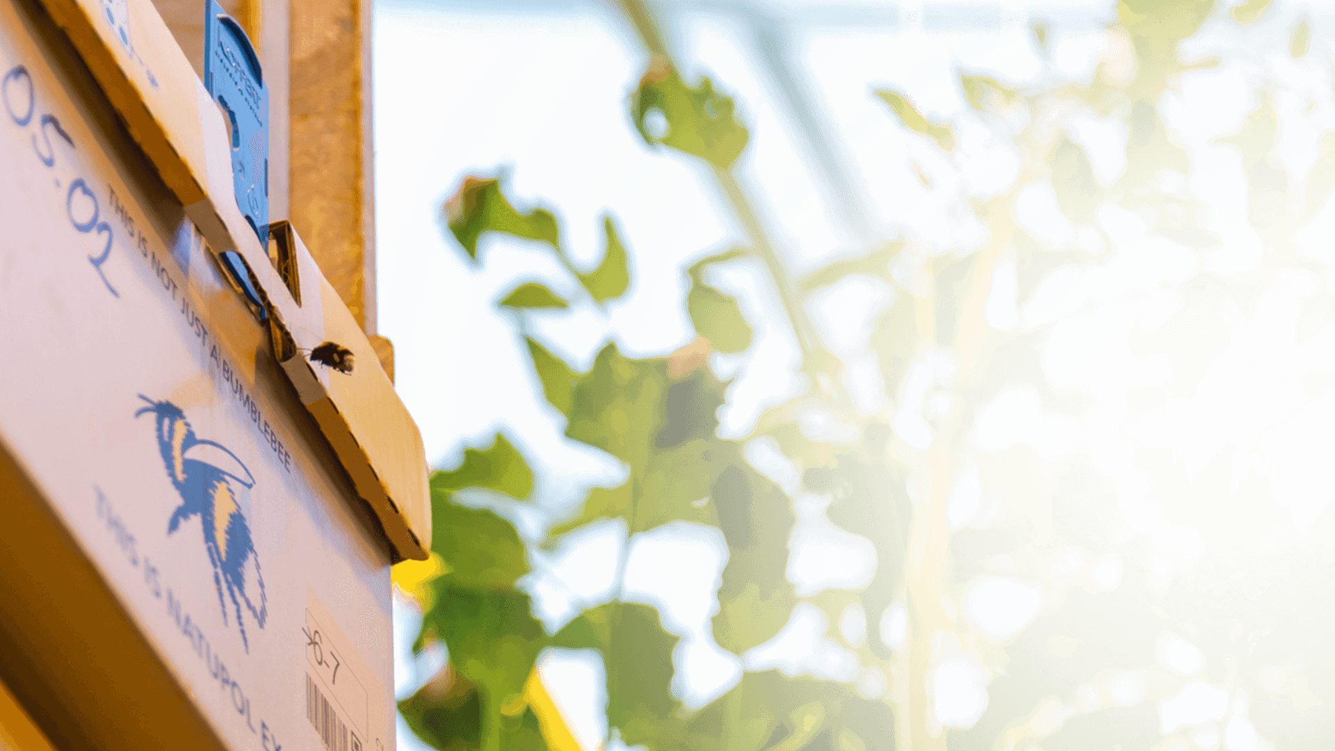 CITRONEX - Innowacje dla ekologii